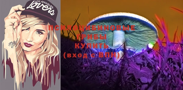 герыч Ладушкин