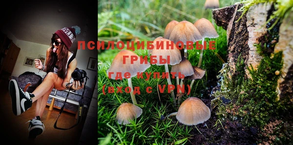 герыч Ладушкин